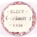 Cox & Roosevelt Large Paperweight