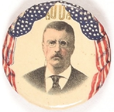 Theodore Roosevelt Flag Border Celluloid