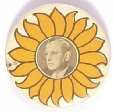 Landon Unusual Sunflower Celluloid