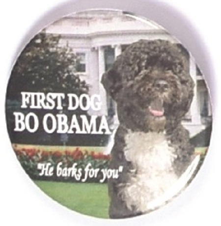 First Dog Bo Obama