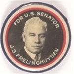Frelinghuysen for Senator New Jersey 