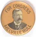 Bull for Congress, Rhode Island