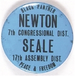 Black Panthers Newton, Seale California Celluloid