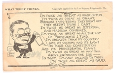 Roosevelt What Teddy Thinks Postcard