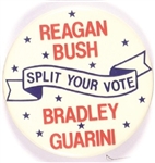 Reagan, Bush, Bradley, Guarini Split Ticket NJ Pin