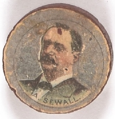 Sewall 1896 Wood Chip