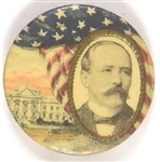 Parker White House and Flag Pin