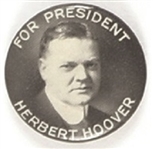 Herbert Hoover for President Sharp Celluloid