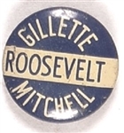 Roosevelt, Gillette, Mitchell Iowa Coattail
