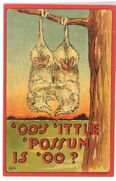 Taft Little Possum Postcard