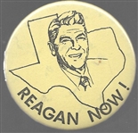 Reagan Now! Texas Celluloid