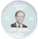Biden America Now 1988 Presidential Hopeful Pin