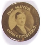 Fitzgerald for Mayor of Boston