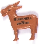 Bucknell for Governor Michigan Donkey Pin