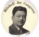 Mitchell for Congress, Tennessee