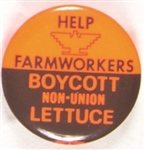 UFW Boycott Non-Union Lettuce