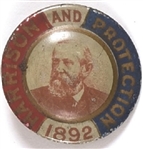 Benjamin Harrison Tin Protection Pin
