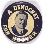 A Democrat for Hoover
