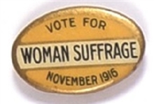 Vote for Woman Suffrage November 1916
