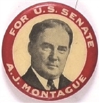 Montague for US Senate