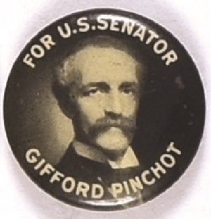 Pinchot for Senator, Pennsylvania
