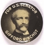 Pinchot for Senator, Pennsylvania