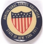 New York Census Volunteer Celluloid