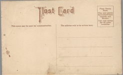 Anti Suffrage Wandering Wife Postcard