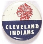 Cleveland Indians Vintage Baseball Pin