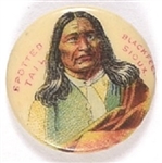 Chief Spotted Tail