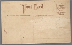 Suffragette Vote Getting Postcard