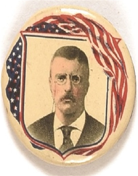 TR Flag and Shield Pin