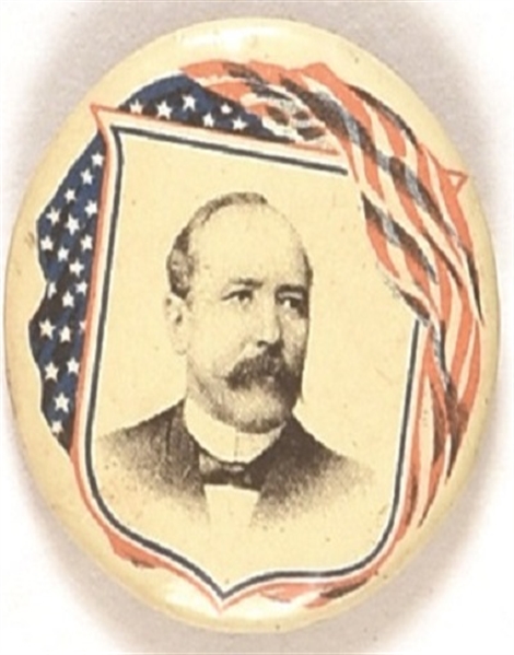 Alton Parker Flag Celluloid