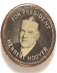Herbert Hoover Framed Celluloid