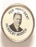 Hoover for President Smaller Celluloid