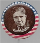 Willkie Stars and Stripes, Brown Background 