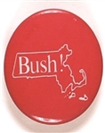 George W. Bush Massachusetts