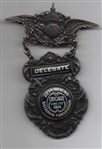 Roosevelt 1904 Convention Delegate Badge