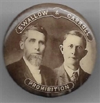 Swallow and Carroll Prohibition Party Jugate