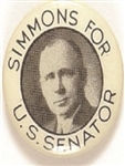 Simmons for Senator, Nebraska