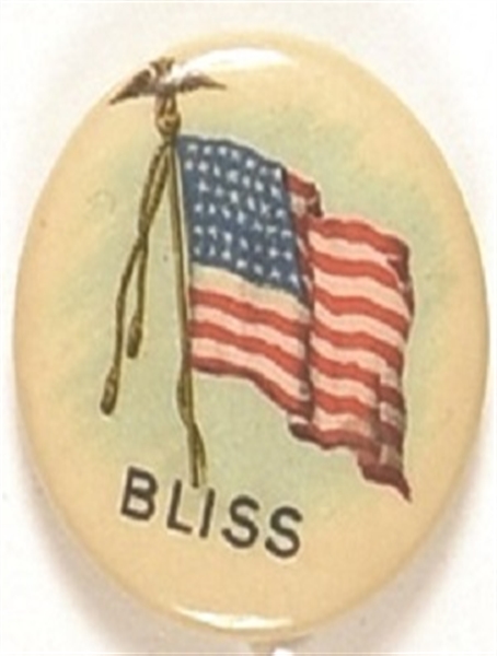 Aaron Bliss for Governor of Michigan