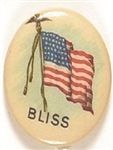 Aaron Bliss for Governor of Michigan
