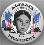 Alfalfa for President