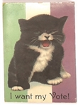 Suffrage I Want My Vote Cat Postcard