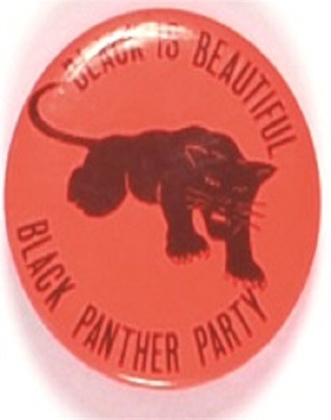 Black Panthers Black is Beautiful