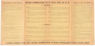 A Word to the Wise on Negro Domination