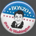 Bonzo Goes to Washington 