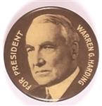 Warren G. Harding for President