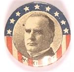 William McKinley Stars and Stripes Celluloid