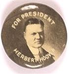 Hoover for President Smaller Photo Celluloid